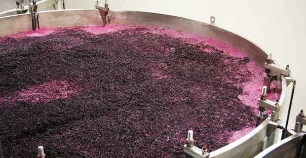 Fermentação na Uva