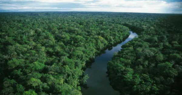 Floresta Amazônica 