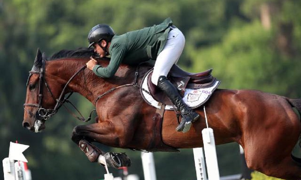 Quais raças de cavalos são usadas no Hipismo?