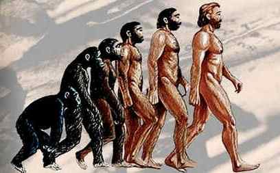 Quem Criou a Teoria de Que o Homem Veio do Macaco?