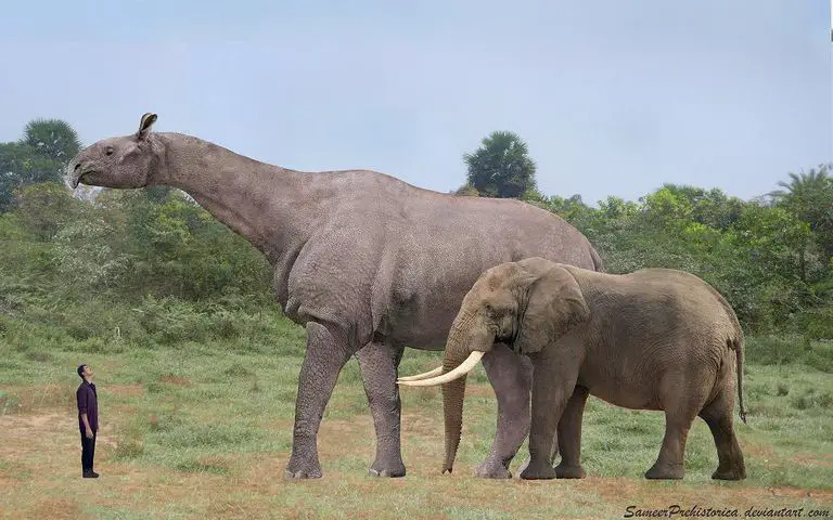 Ilustração de um Paraceratherium