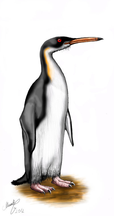 Ilustração do Palaeeudyptinae Gigante
