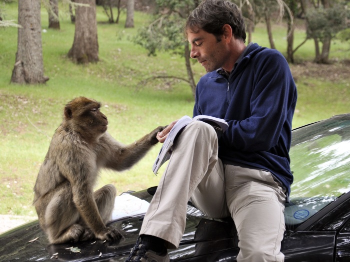 Macaco e Homem