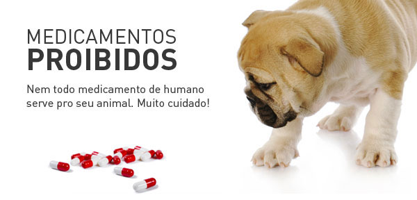 Medicamentos Humanos Proibidos Para Cachorros