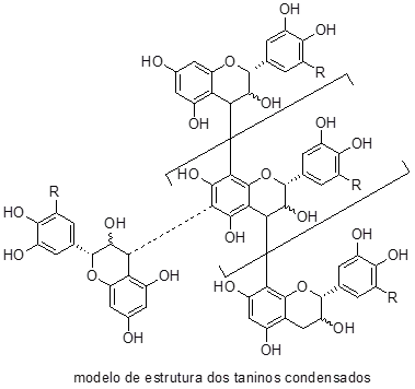 Modelo de Estrutura do Tanino