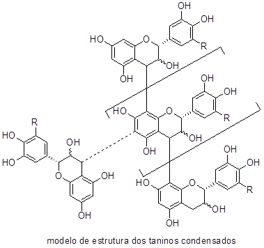 Modelo de Estrutura do Tanino