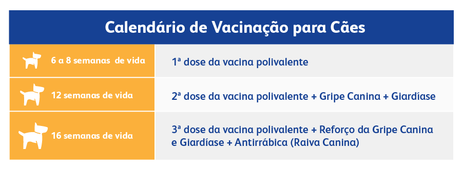 Modelo de Vacinação Para Cachorros 