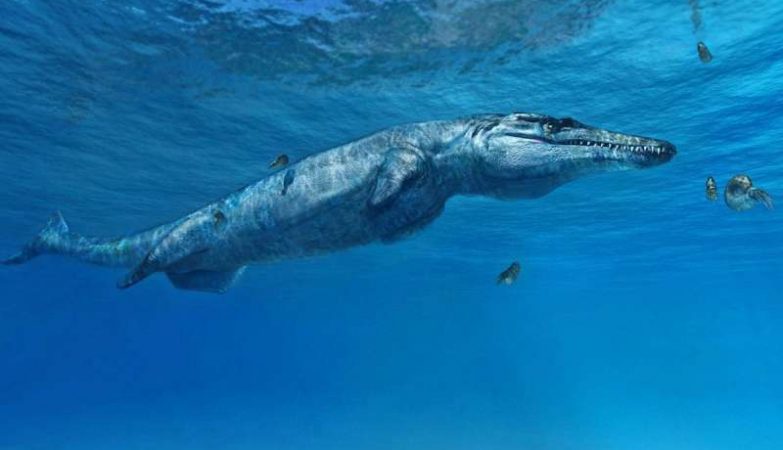 Monstro de Melksham