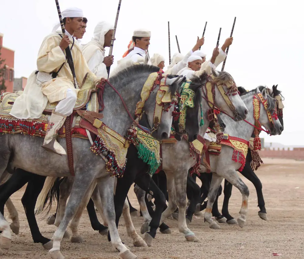 Origens do Cavalo Berbere