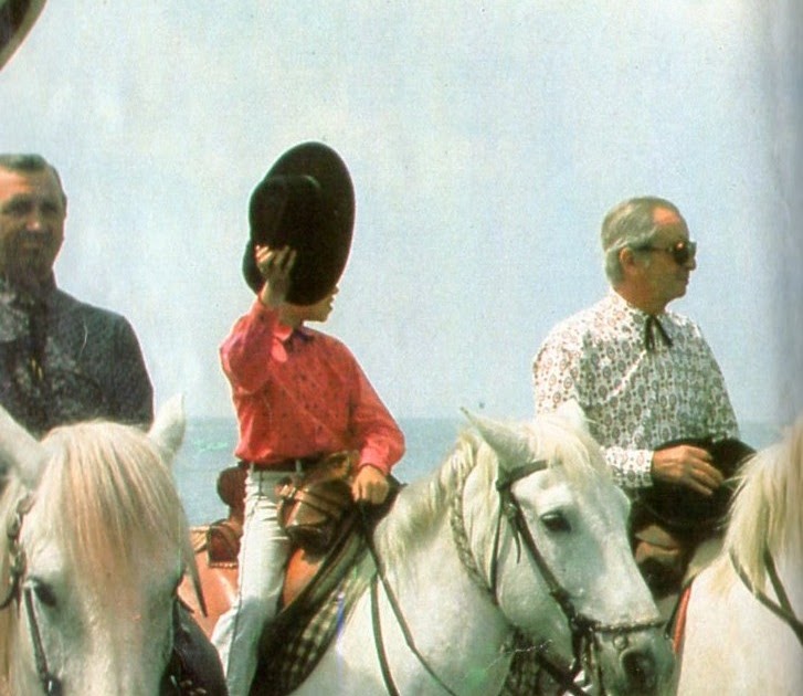 Os Cavalos Camarguês e Sarracenos