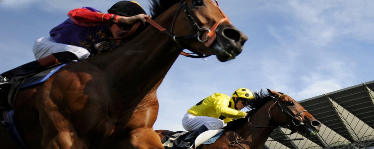 Qual Foi o Melhor Cavalo de Corrida de Todos os Tempos?