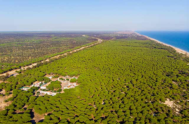 Parque Nacional de Doñana