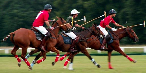 Polo Equestre