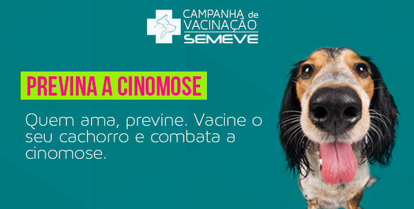 Prevenção a Cinomose 