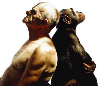 Semelhanças Entre o Homem e o Macaco 