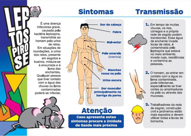 Sibo hidrogeno sintomas