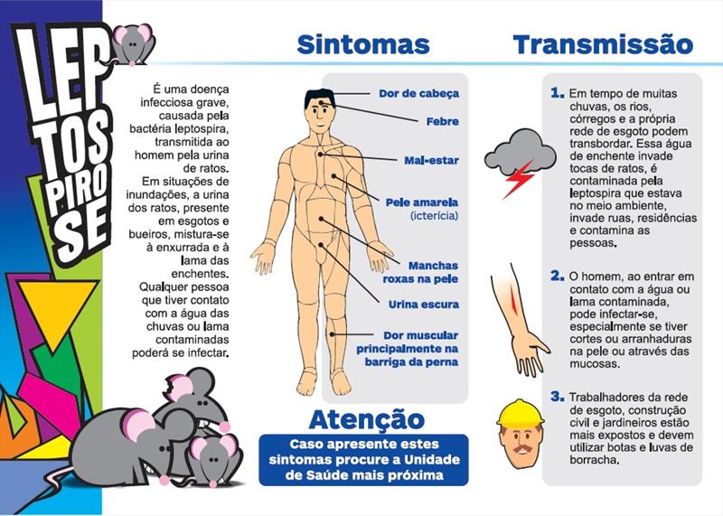 Sintomas de la cetosis en animales