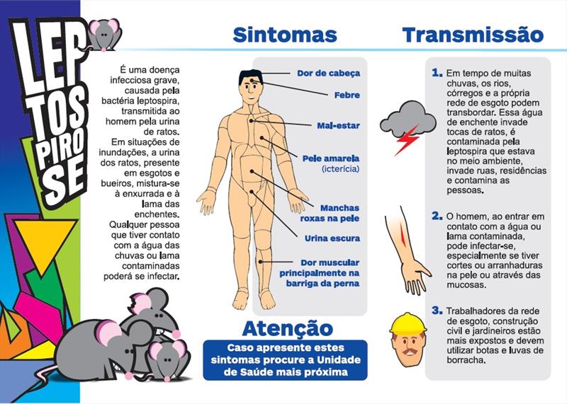 Sintomas da Leptospirose 