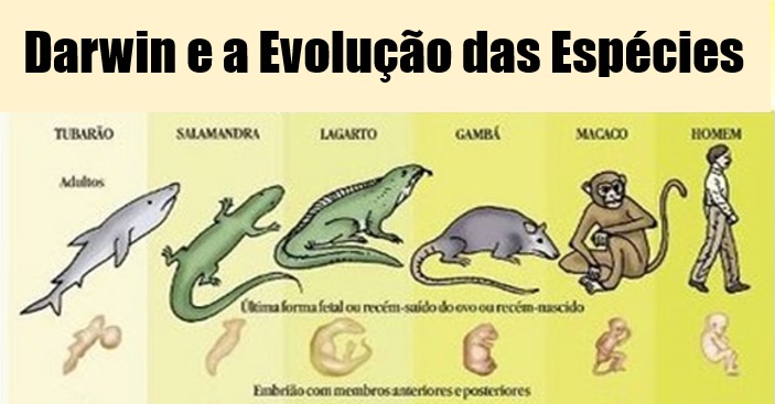 Teoria de Darwin