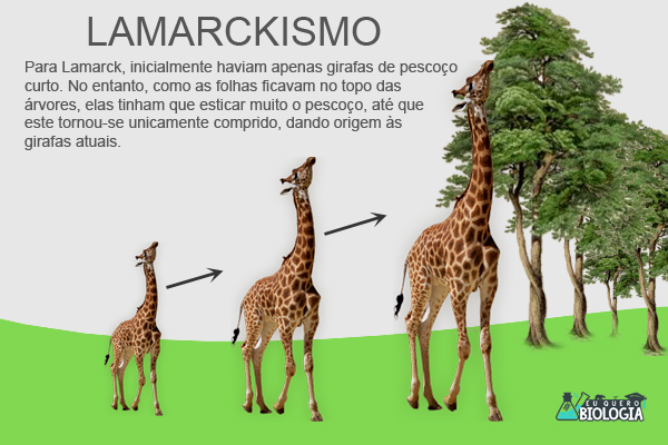 Teoria de Lamarck 