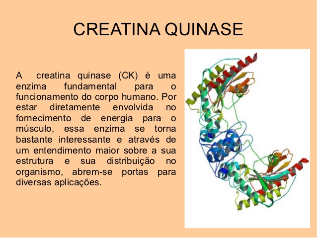 Creatina Quinases