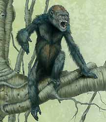 Pierolapithecus Catalaunicus