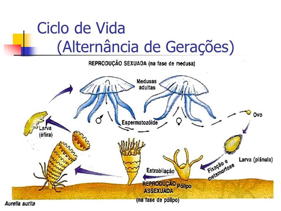 Alternância de Gerações