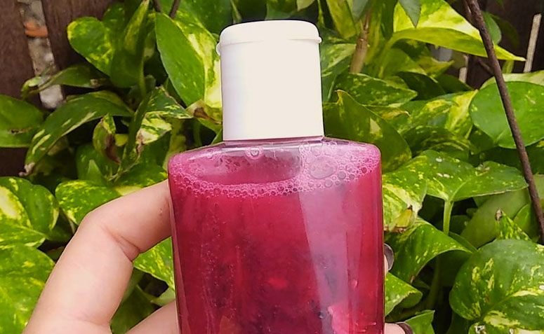 Aproveite as Folhas para o Shampoo de Hibisco