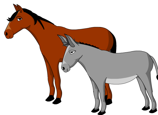 Asno e Cavalo