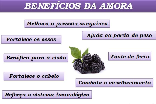 Benefícios da Amora