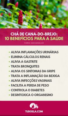 Benefícios Da Cana-De-Macaco