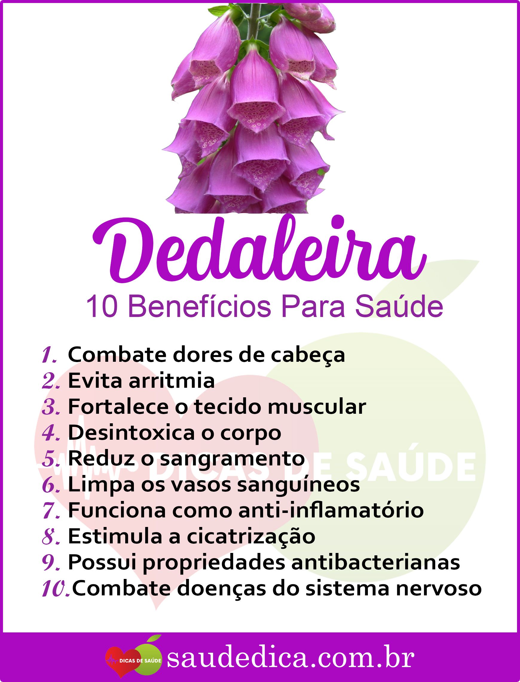 Benefícios Dedaleira