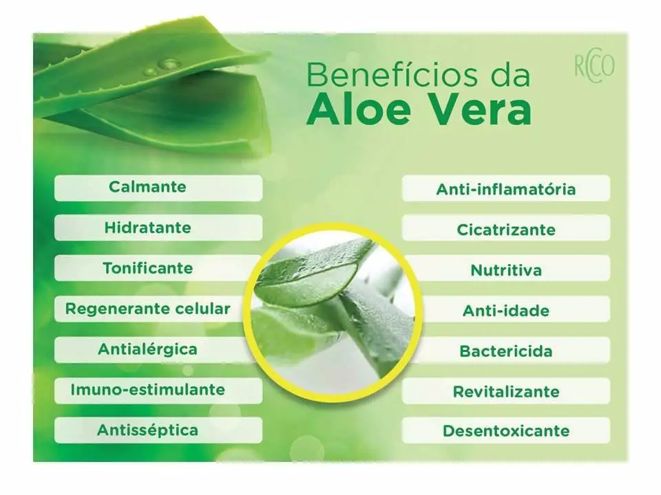 Benefícios da Aloe Vera