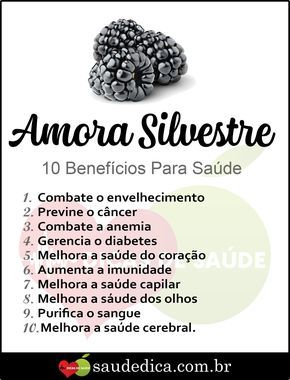 Benefícios da Amora-Silvestre