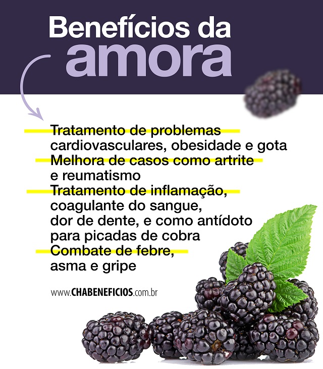 Benefícios da Amora 