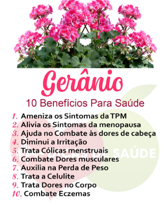 Benefícios Gerânio