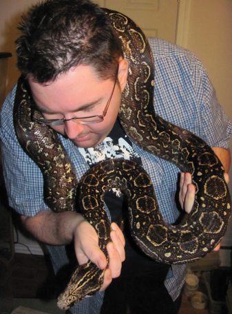 Boa Constrictor Occidentalis