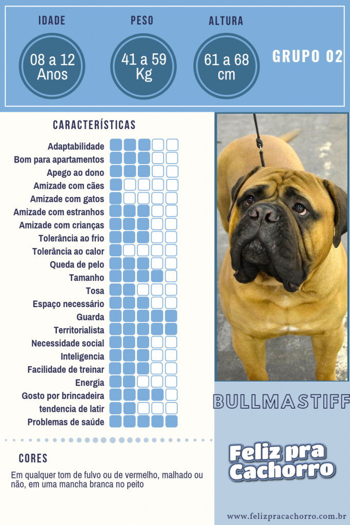 Características Do Bullmastiff 