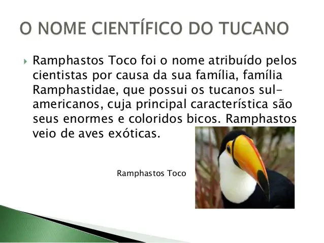 Características Dos Tucanos