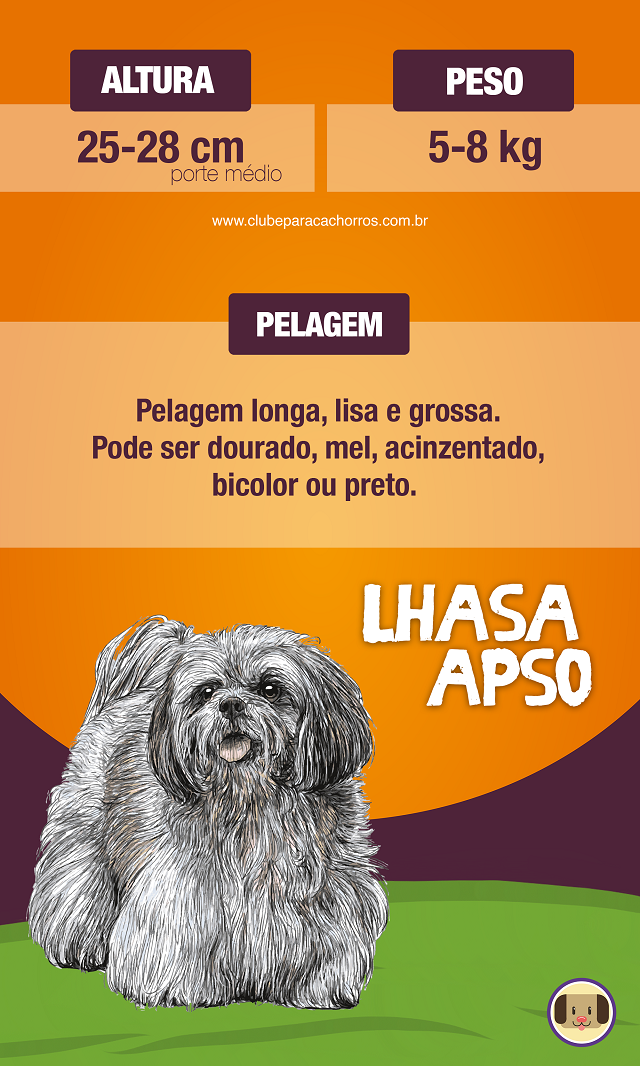 Características do Lhasa Apso