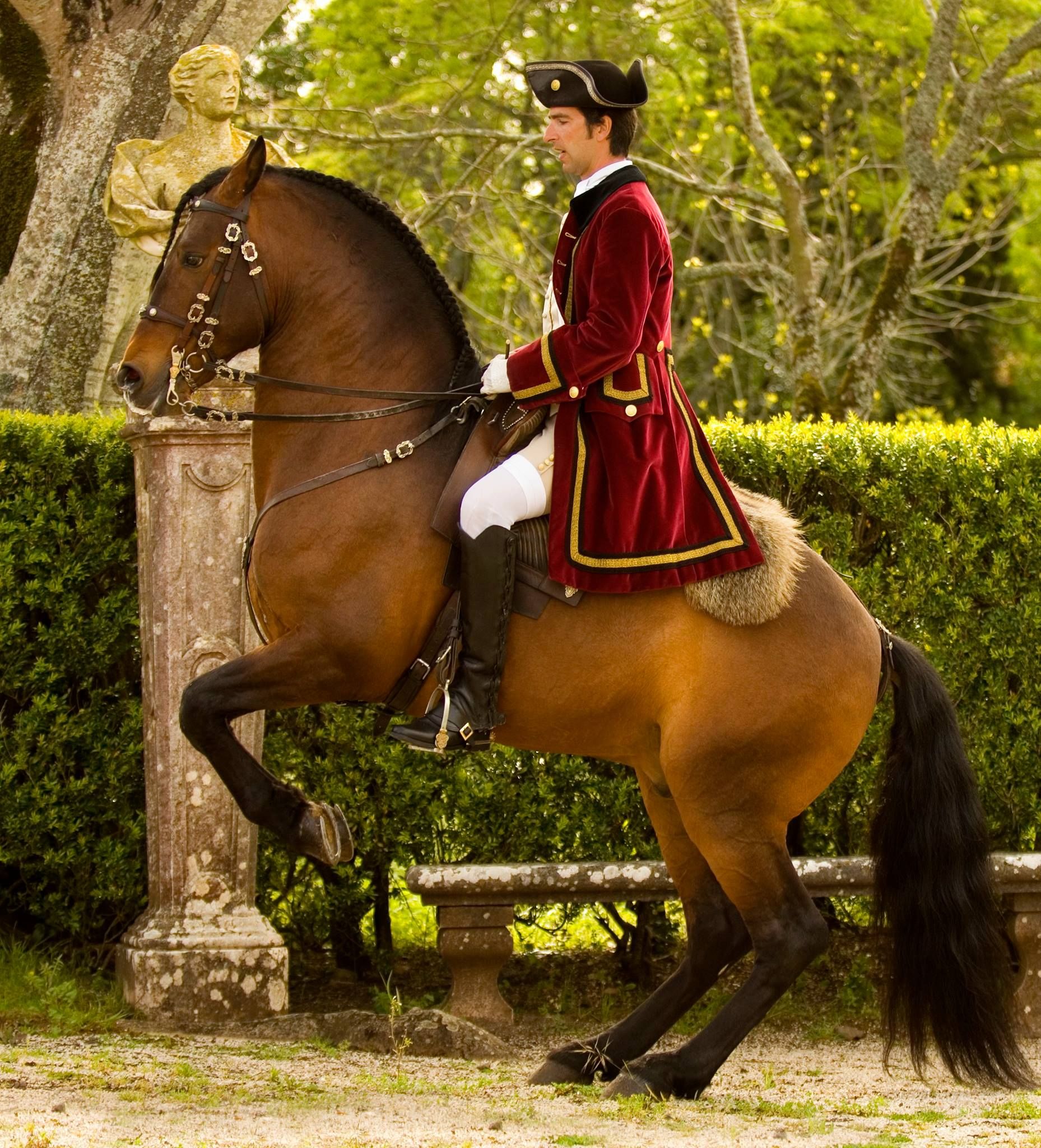 Cavalgando em Um Cavalo Alter Real 