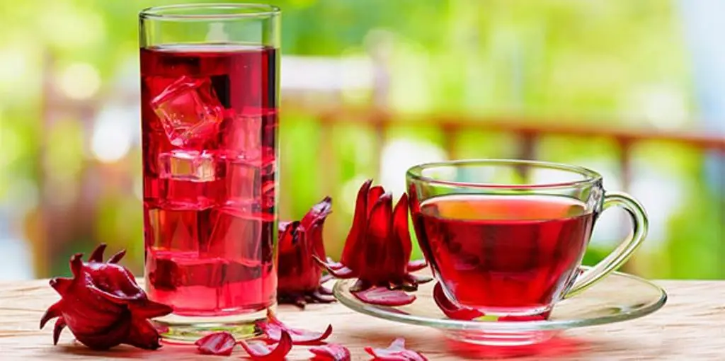 Chá de Hibisco Antioxidante