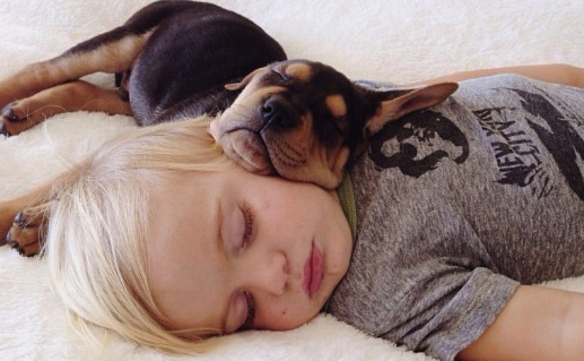 Faz Mal Dormir com o Cão? Quais Problemas Pode Causar?