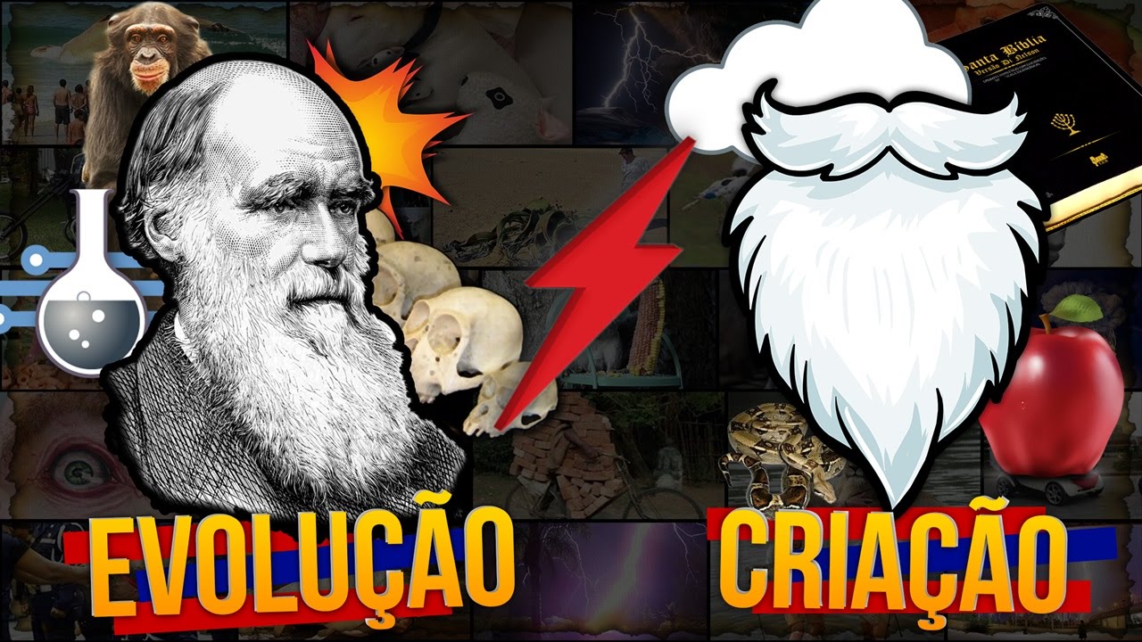 Evolução e Criação 