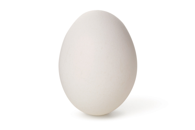 Foto de um Ovo Branco