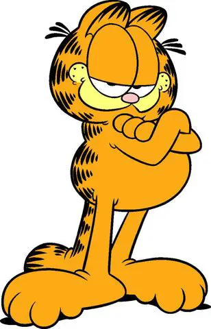 Gato Garfield 