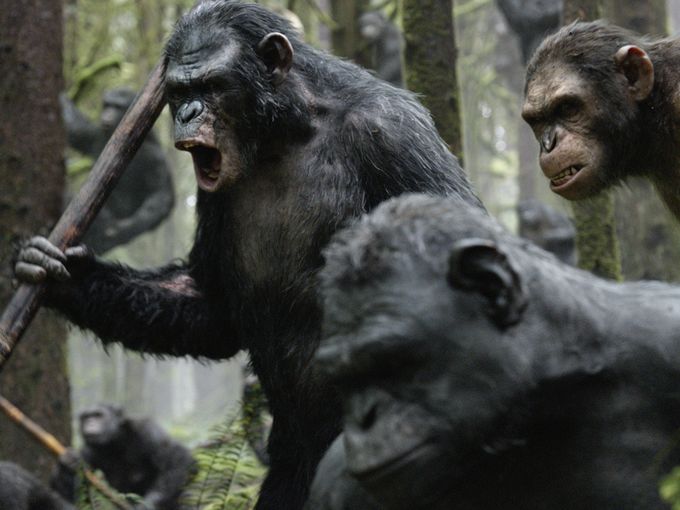 Imagem Ilustrativa do Filme Planeta dos Macacos