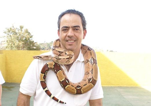 Jiboia Domestica Enrolada no Pescoço de um Homem