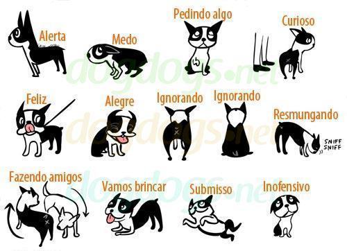Linguagem Corporal Dos Cães