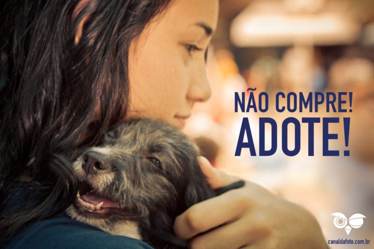 Mensagem Para Adotar Cães 